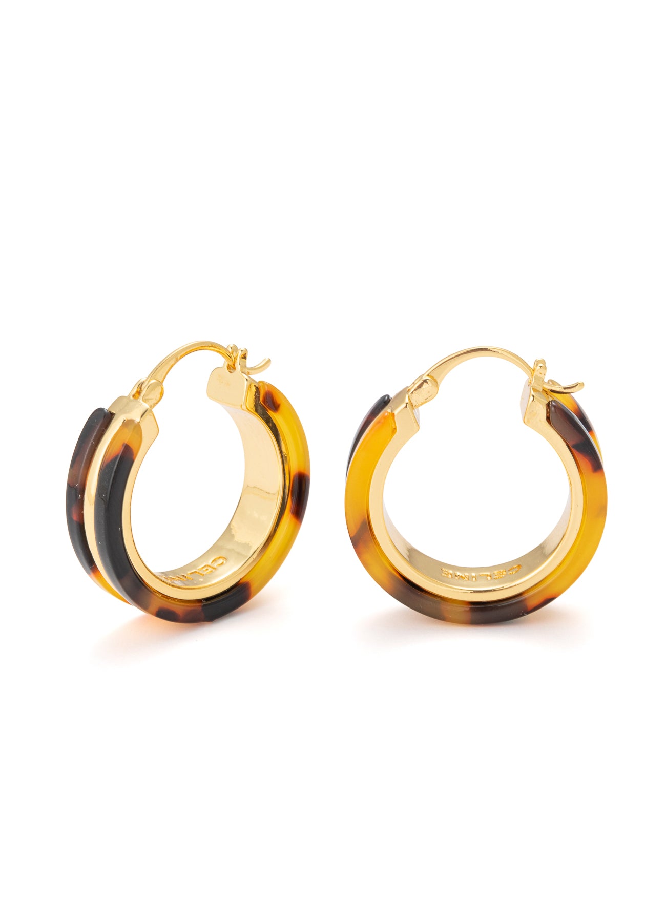 No Stone Earring