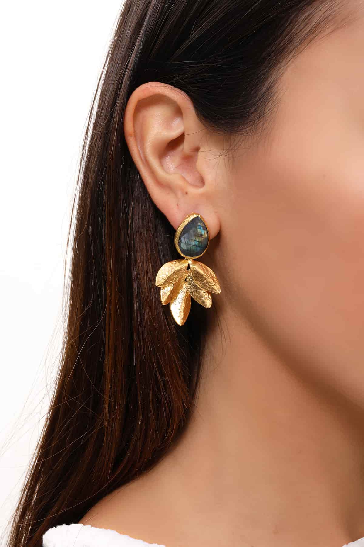 Labradorite Boucles d'oreilles