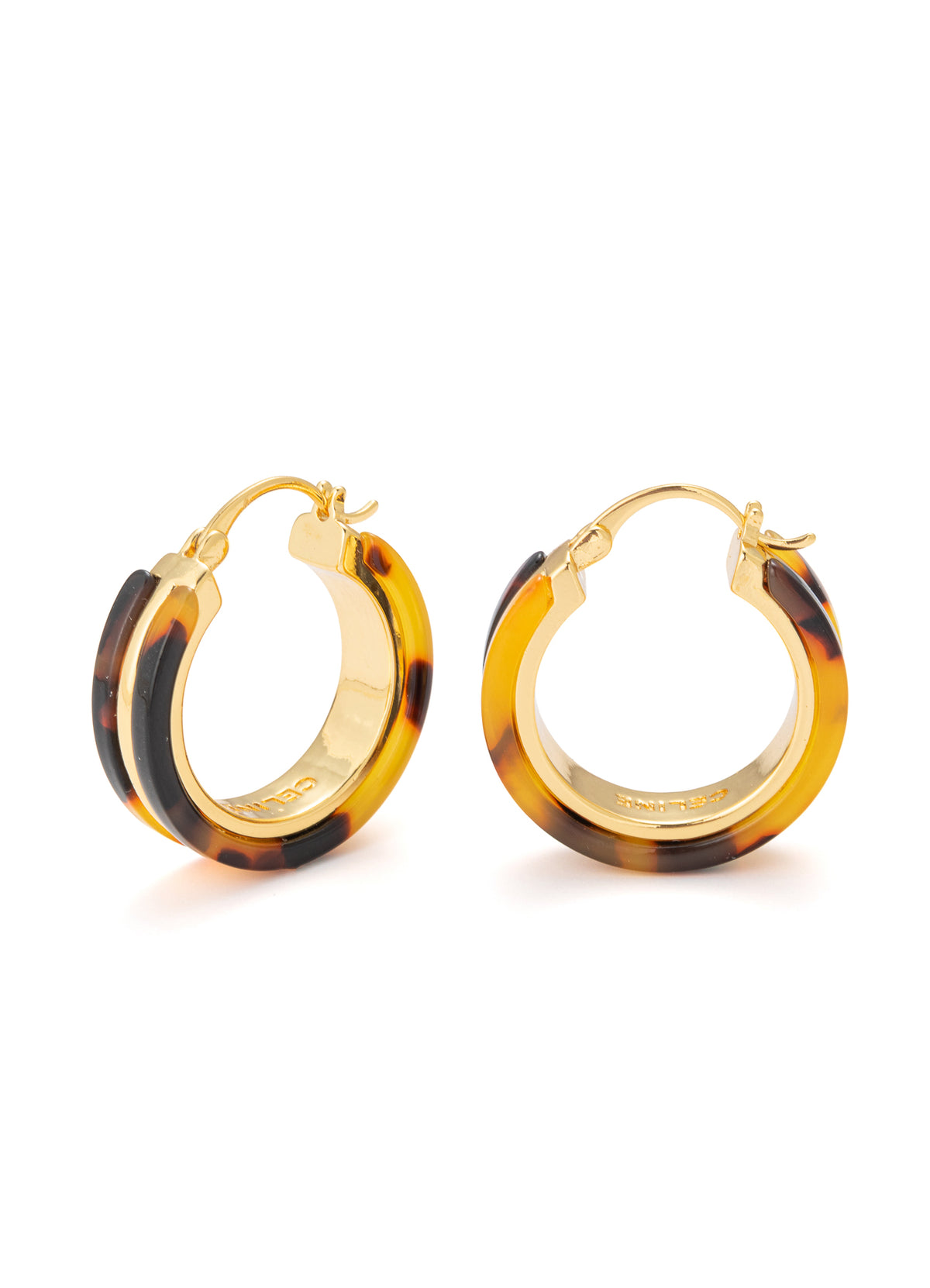 No Stone Earring